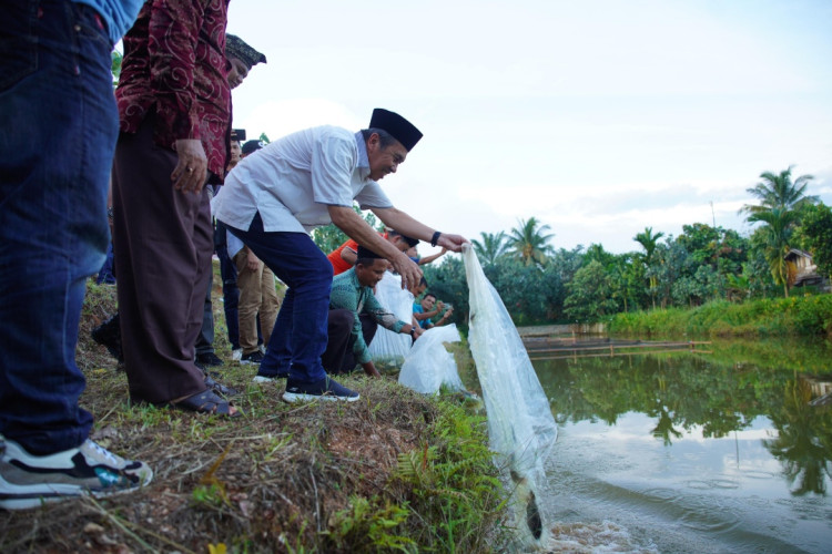 Desa Paling Ujung Rohul Bergema Teriakan Suwai Menang